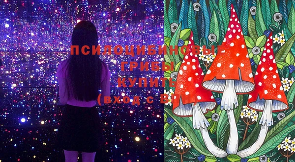 хмурый Майский